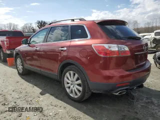 2010 Mazda CX-9 Touring with VIN JM3TB2MA0A0205610, listed as a Copart auction lot 47289105 with 134,046 mi miles and Salvage Title. Bid and sale history available at carsss.com. Image 2.