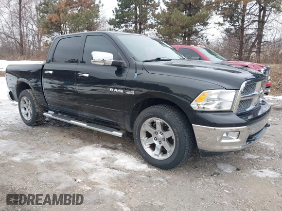 2010 Dodge 1500 SLT with VIN 1D7RV1CTXAS255030, listed as a IAAI auction lot 41412265 with 84,606 mi miles and . Bid and sale history available at DreamBid. Image 1.