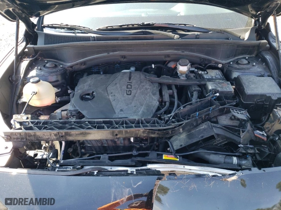 2022 Hyundai Santa Fe SEL with VIN 5NMS24AJ6NH469473, listed as a Copart auction lot 44717215 with 81,001 mi miles and Salvage Title. Bid and sale history available at carsss.com. Image 12.