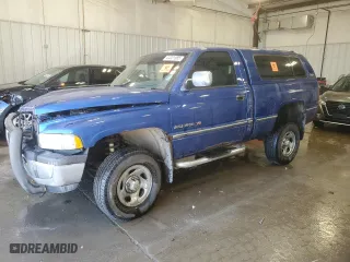 1996 Dodge Ram 1500 with VIN 1B7HF16Z8TJ180744, listed as a Copart auction lot 44231685 with 0 mi miles and Non Repairable. Bid and sale history available at carsss.com. Image 1.
