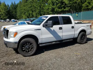 2010 Ford F-150 XL with VIN 1FTEW1E8XAFB89795, listed as a Copart auction lot 62423115 with 402,162 mi miles and Salvage title. Bid and sale history available at DreamBid. Image 1.