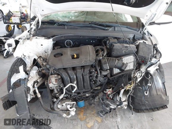 2019 Kia Forte LXS with VIN 3KPF24AD5KE058905, listed as a IAAI auction lot 42483098 with 53,776 mi miles and . Bid and sale history available at DreamBid. Image 10.