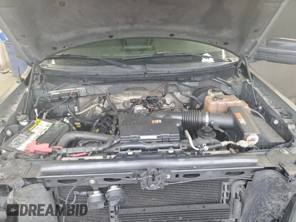 2010 Ford F-150 XL with VIN 1FTEX1CW0AFB44606, listed as a Copart auction lot 56570045 with 166,448 mi miles and Salvage title. Bid and sale history available at DreamBid. Image 11.