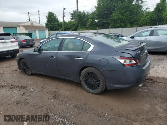 2010 Nissan Maxima SV with VIN 1N4AA5APXAC820912, listed as a Copart auction lot 60726965 with 119,093 mi miles and Salvage title. Bid and sale history available at DreamBid. Image 2.