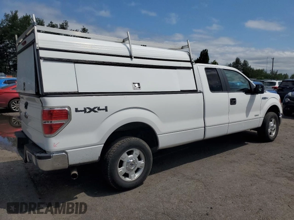 2014 Ford F-150 XL with VIN 1FTFX1ET0EKD17173, listed as a Copart auction lot 59056345 with 185,804 mi miles and Salvage title. Bid and sale history available at DreamBid. Image 3.