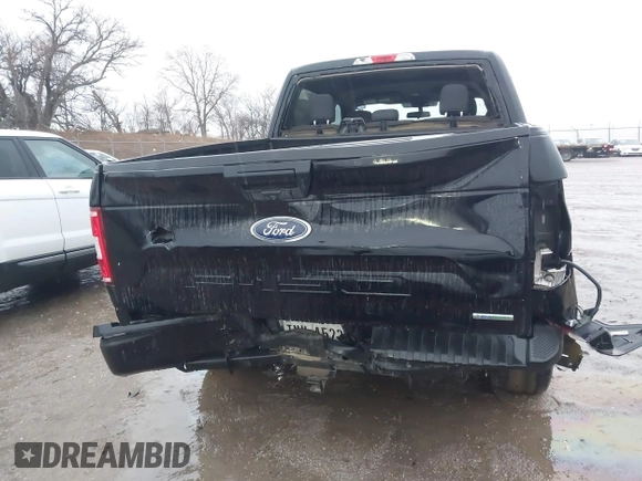 2019 Ford F-150 XL with VIN 1FTEW1CPXKKD88784, listed as a IAAI auction lot 41229831 with 83,384 mi miles and . Bid and sale history available at carsss.com. Image 16.