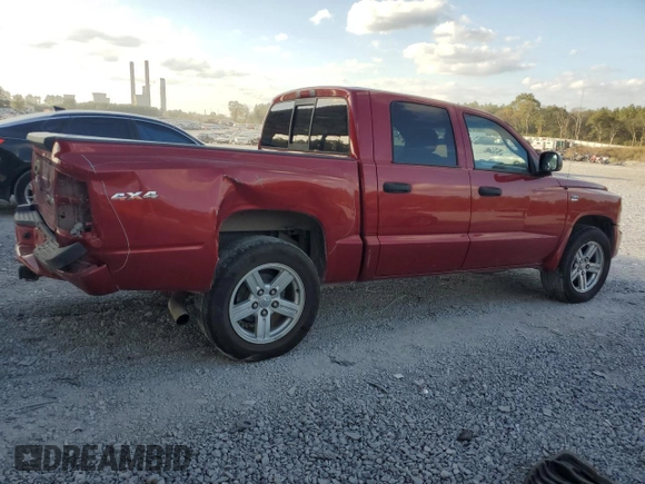 2010 Dodge Dakota SXT with VIN 1D7CW3GP0AS107674, listed as a Copart auction lot 79161534 with 181,681 mi miles and Salvage Title. Bid and sale history available at DreamBid. Image 3.