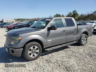 2013 Ford F-150 XL with VIN 1FTFW1CT8DKE91710, listed as a Copart auction lot 47856005 with 232,564 mi miles and Salvage Title. Bid and sale history available at carsss.com. Image 1.