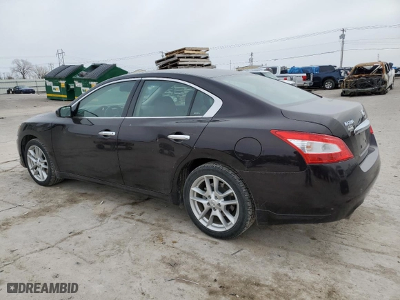 2010 Nissan Maxima 3.5 SV w/Sport Pkg with VIN 1N4AA5AP9AC815684, listed as a Copart auction lot 48065755 with 41,275 mi miles and Salvage Title. Bid and sale history available at carsss.com. Image 2.