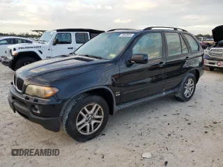 2005 BMW X5 3.0i with VIN 5UXFA13535LB09774, listed as a Copart auction lot 73848924 with 0 mi miles and Salvage Title. Bid and sale history available at carsss.com. Image 1.
