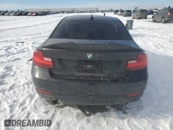 2017 BMW 2 Series 230i with VIN WBA2F9C39HV664732, listed as a Copart auction lot 44585015 with 88,917 mi miles and Salvage title. Bid and sale history available at DreamBid. Image 6.