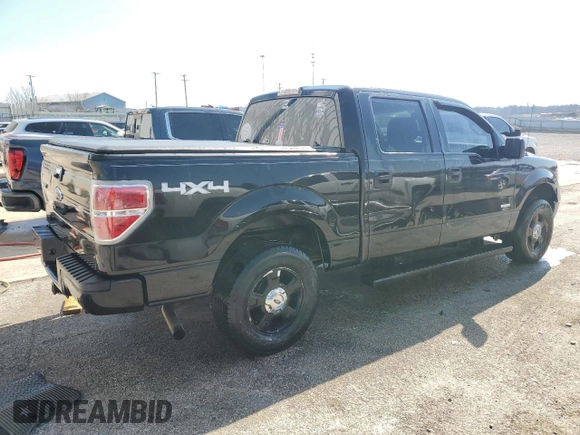 2013 Ford F-150 XL with VIN 1FTFW1ETXDFA61957, listed as a Copart auction lot 46628685 with 186,266 mi miles and Non Repairable. Bid and sale history available at carsss.com. Image 3.