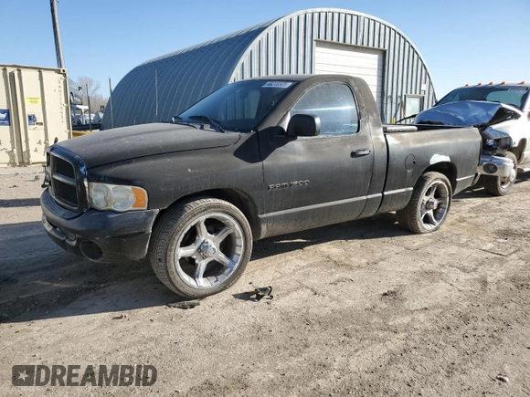 2002 Dodge 1500 with VIN 1D7HA16K42J244560, listed as a Copart auction lot 48218505 with 218,303 mi miles and Salvage Title. Bid and sale history available at DreamBid. Image 1.