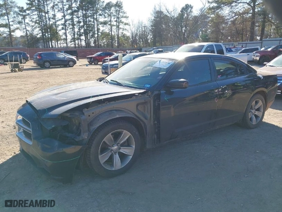 2013 Dodge Charger SE with VIN 2C3CDXBG8DH531330, listed as a IAAI auction lot 41363896 with NaN miles. Bid and sale history available at carsss.com. Image 2.