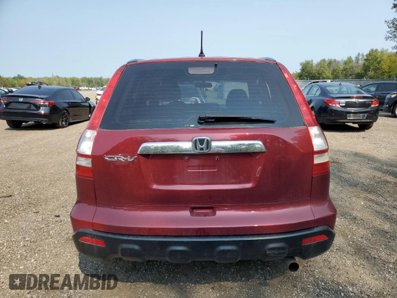 2008 Honda CR-V EX-L with VIN 5J6RE48748L807191, listed as a Copart auction lot 71180704 with 183,001 mi miles and Clean Title. Bid and sale history available at carsss.com. Image 6.