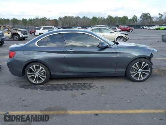2015 BMW 2 Series 228i with VIN WBA1F5C59FV257447, listed as a IAAI auction lot 41706206 with 119,086 mi miles. Bid and sale history available at carsss.com. Image 14.