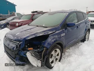 2014 Ford Escape SE with VIN 1FMCU9G90EUD25513, listed as a Copart auction lot 44211815 with 129,376 mi miles and Salvage Title. Bid and sale history available at DreamBid. Image 1.