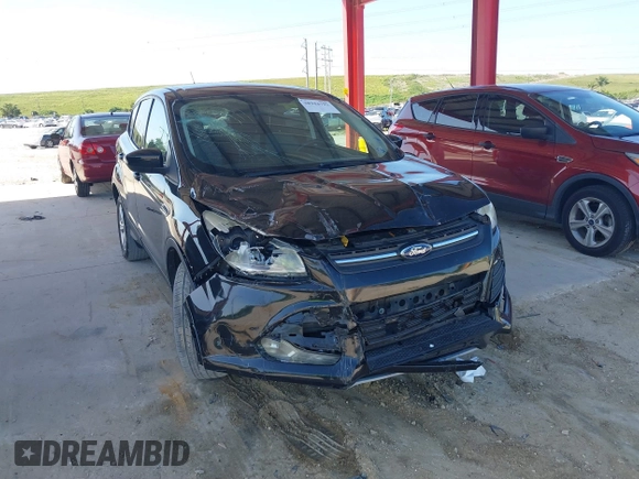 2013 Ford Escape SE with VIN 1FMCU0G99DUD53675, listed as a IAAI auction lot 38944792 with 187,801 mi miles and . Bid and sale history available at DreamBid. Image 6.