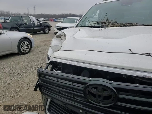 2018 Toyota Sequoia SR5 with VIN 5TDZY5G14JS071471, listed as a Copart auction lot 44165055 with 121,063 mi miles and Salvage Title. Bid and sale history available at carsss.com. Image 12.