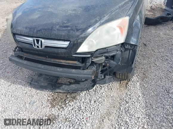 2009 Honda CR-V EX with VIN 3CZRE48559G703595, listed as a IAAI auction lot 42023697 with 250,225 mi miles. Bid and sale history available at carsss.com. Image 6.