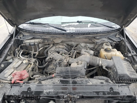 2013 Ford F-150 XL with VIN 1FTEX1EM3DFA07577, listed as a Copart auction lot 44247345 with 324,437 mi miles and Salvage title. Bid and sale history available at DreamBid. Image 11.