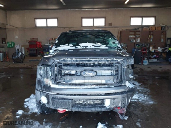 2014 Ford F-150 XL with VIN 1FTFW1ET4EFA03439, listed as a IAAI auction lot 41548481 with 171,729 mi miles. Bid and sale history available at carsss.com. Image 13.
