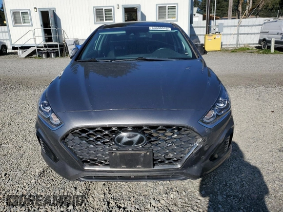 2019 Hyundai Sonata SEL with VIN 5NPE34AF5KH808518, listed as a Copart auction lot 53586045 with 91,307 mi miles and Salvage Title. Bid and sale history available at DreamBid. Image 5.
