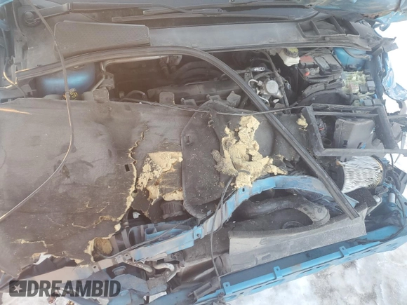2017 Ford Focus SE with VIN 1FADP3F2XHL205204, listed as a Copart auction lot 88743115 with 137,369 mi miles and Salvage Title. Bid and sale history available at DreamBid. Image 12.