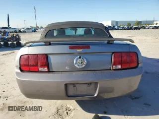 2006 Ford Mustang Standard with VIN 1ZVFT84N965262467, listed as a Copart auction lot 49697655 with 171,122 mi miles and Salvage Title. Bid and sale history available at carsss.com. Image 6.