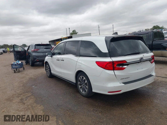 2022 Honda Odyssey EX-L with VIN 5FNRL6H76NB002248, listed as a IAAI auction lot 41818243 with 32,952 mi miles and . Bid and sale history available at DreamBid. Image 3.