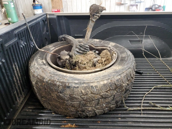 2002 Dodge 1500 with VIN 1D7HU18N82S706899, listed as a Copart auction lot 57672685 with 148,657 mi miles and Salvage title. Bid and sale history available at DreamBid. Image 12.