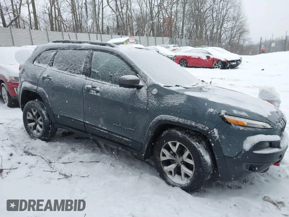 2014 Jeep Cherokee Trailhawk with VIN 1C4PJMBB9EW162280, listed as a IAAI auction lot 41341238 with 135,231 mi miles. Bid and sale history available at carsss.com. Image 13.