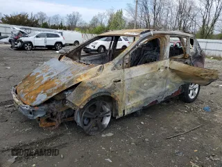 2014 Ford Escape SE with VIN 1FMCU0GXXEUA81170, listed as a Copart auction lot 52793675 with 0 mi miles and Salvage Title. Bid and sale history available at carsss.com. Image 1.