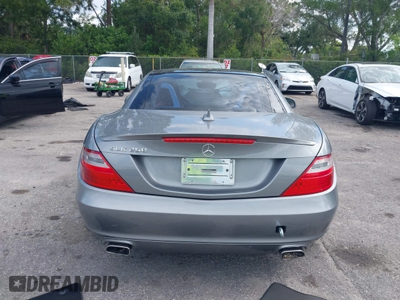 2015 Mercedes-Benz SLK 250 z VIN WDDPK4HA2FF099896, wystawiony jako IAAI lot #42333660 z przebiegiem 58 892 mil mil oraz . Historia ofert i sprzedaży dostępna na DreamBid. Obrazek 16.