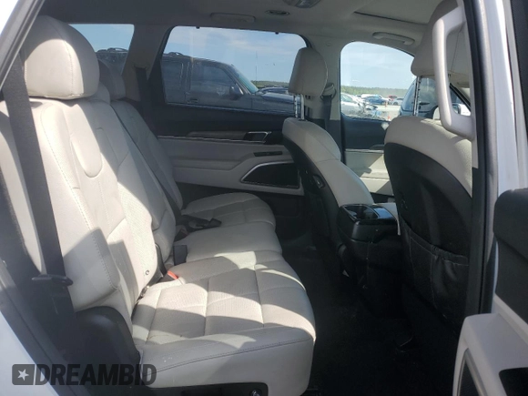2020 Kia Telluride EX with VIN 5XYP34HC3LG041698, listed as a Copart auction lot 53478405 with 87,825 mi miles and Salvage title. Bid and sale history available at DreamBid. Image 10.