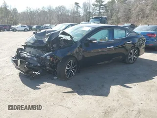 2023 Nissan Maxima SV with VIN 1N4AA6CV9PC514214, listed as a IAAI auction lot 41751672 with Not provided miles and . Bid and sale history available at DreamBid. Image 2.