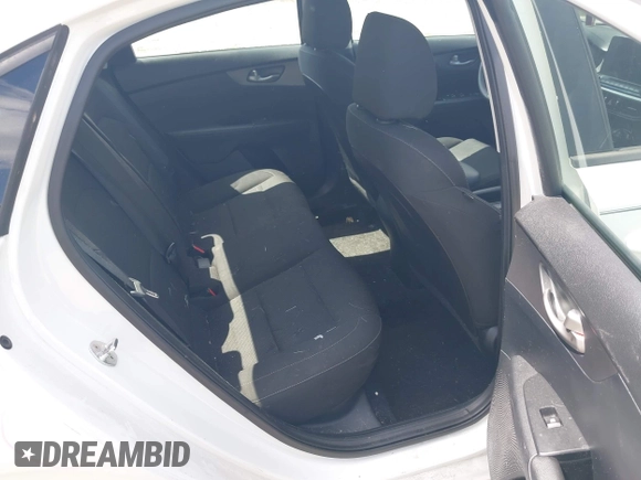 2019 Kia Forte LXS z VIN 3KPF24AD1KE133227, wystawiony jako IAAI lot #42494488 z przebiegiem 67 770 mil mil oraz . Historia ofert i sprzedaży dostępna na DreamBid. Obrazek 8.