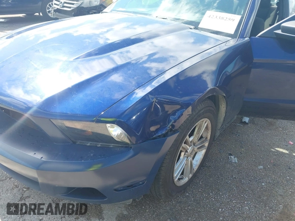 2011 Ford Mustang V6 with VIN 1ZVBP8AM7B5151781, listed as a IAAI auction lot 42338259 with 179,558 mi miles and . Bid and sale history available at DreamBid. Image 6.