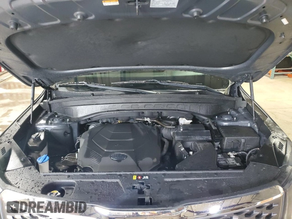 2020 Kia Telluride LX with VIN 5XYP2DHC7LG070687, listed as a Copart auction lot 55473535 with 42,571 mi miles and Clean title. Bid and sale history available at DreamBid. Image 12.