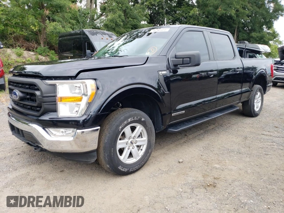 2021 Ford F-150 XL with VIN 1FTFW1ED0MFB39526, listed as a Copart auction lot 70290404 with 65,581 mi miles and Salvage Title. Bid and sale history available at carsss.com. Image 1.