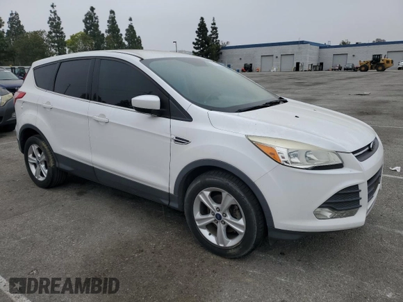 2014 Ford Escape SE with VIN 1FMCU0GX5EUD25338, listed as a Copart auction lot 53167645 with 171,443 mi miles and Clean Title. Bid and sale history available at carsss.com. Image 4.