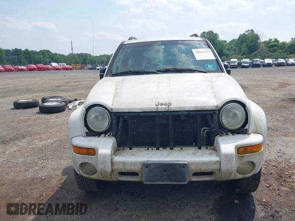 2002 Jeep Liberty Limited с VIN 1J8GL58K22W302844, выставлен на аукционе IAAI как лот 42501721 с пробегом 133 078 миль миль и . История ставок и продаж доступна на DreamBid. Изображение 6.