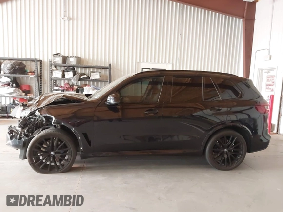 2023 BMW X5 xDrive40i with VIN 5UXCR6C07P9P99054, listed as a IAAI auction lot 42077507 with 18,605 mi miles and . Bid and sale history available at DreamBid. Image 15.