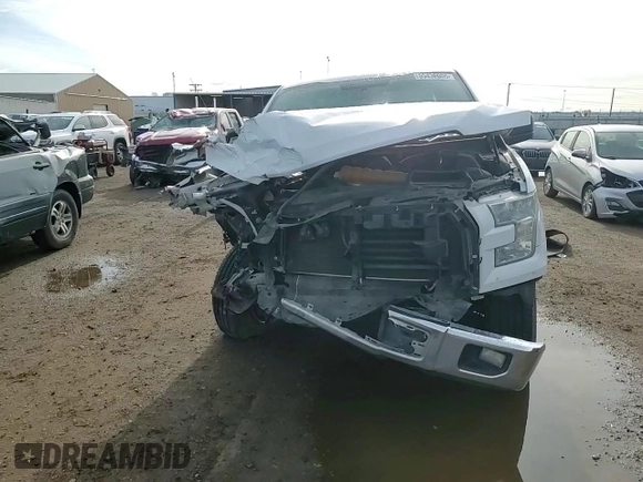 2015 Ford F-150 XLT with VIN 1FTFX1EF6FFA30750, listed as a Copart auction lot 60123375 with 210,315 mi miles and Salvage title. Bid and sale history available at DreamBid. Image 14.