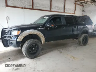 2011 Ford F-150 XL with VIN 1FTFW1EF8BFC71559, listed as a Copart auction lot 53477565 with 219,178 mi miles and Salvage title. Bid and sale history available at DreamBid. Image 1.