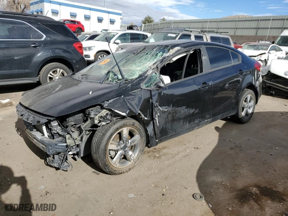2018 Kia Forte S with VIN 3KPFL4A72JE166386, listed as a Copart auction lot 79043984 with 0 mi miles and Salvage Title. Bid and sale history available at carsss.com. Image 1.
