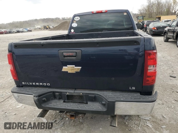 2011 Chevrolet Silverado 1500 Work Truck with VIN 1GCRCPEX7BZ182789, listed as a Copart auction lot 50601005 with 173,159 mi miles and Non Repairable. Bid and sale history available at DreamBid. Image 6.