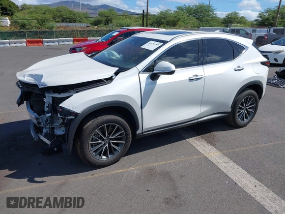 2025 Lexus NX 250 Premium with VIN JTJGDCAZ2S2020658, listed as a IAAI auction lot 42036187 with 2,404 mi miles and . Bid and sale history available at DreamBid. Image 18.