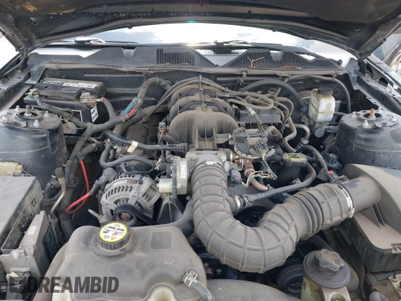2010 Ford Mustang V6 with VIN 1ZVBP8EN7A5127918, listed as a IAAI auction lot 42228710 with 174,771 mi miles and . Bid and sale history available at DreamBid. Image 10.