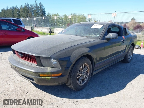 2005 Ford Mustang Deluxe with VIN 1ZVFT80N455171384, listed as a IAAI auction lot 42068853 with 258,491 mi miles. Bid and sale history available at carsss.com. Image 2.